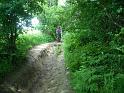 MTB (85)
